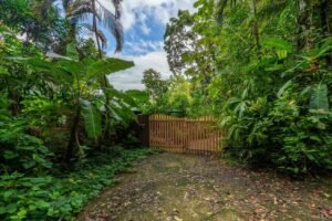 5 Acre Jungle Estate at Nauyaca Waterfalls, Costa Rica – 197118 (16)