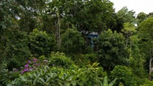5 Acre Jungle Estate at Nauyaca Waterfalls, Costa Rica – 197118 (19)