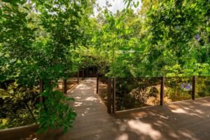 5 Acre Jungle Estate at Nauyaca Waterfalls, Costa Rica – 197118 (25)