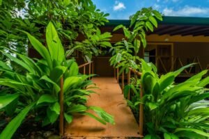 5 Acre Jungle Estate at Nauyaca Waterfalls, Costa Rica – 197118 (8)