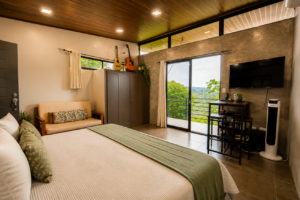 8. Casa Rio Soleil-Turtle-6