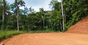 Build-Ready Ocean View Lot in Uvita Costa Rica with Ballena Rock Views (18) – 197046