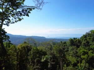 Build-Ready Ocean View Lot in Uvita Costa Rica with Ballena Rock Views (19) – 197046