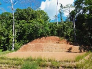 Build-Ready Ocean View Lot in Uvita Costa Rica with Ballena Rock Views (20) – 197046