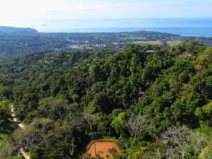 Build-Ready Ocean View Lot in Uvita Costa Rica with Ballena Rock Views (25) – 197046