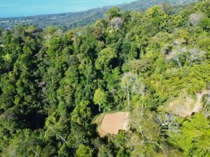 Build-Ready Ocean View Lot in Uvita Costa Rica with Ballena Rock Views (29) – 197046