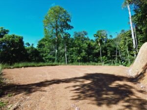 Build-Ready Ocean View Lot in Uvita Costa Rica with Ballena Rock Views (30) – 197046