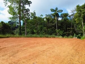Build-Ready Ocean View Lot in Uvita Costa Rica with Ballena Rock Views (32) – 197046
