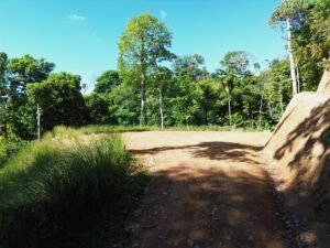 Build-Ready Ocean View Lot in Uvita Costa Rica with Ballena Rock Views (38) – 197046