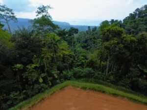 Build-Ready Ocean View Lot in Uvita Costa Rica with Ballena Rock Views (40) – 197046