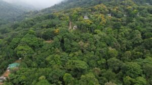DJI_0407