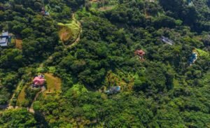 DJI_20260116080158_0115_D