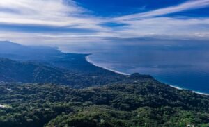 DJI_20260116080215_0116_D-2
