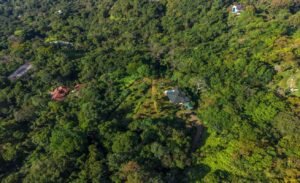 DJI_20260116080324_0118_D