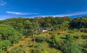 DJI_20260116080603_0121_D
