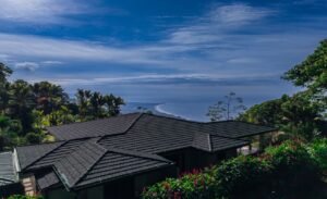 DJI_20260116082537_0144_D