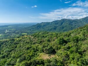 Exceptional Ocean View Farm in Matapalo Near Playa Linda (10)