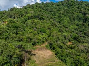 Exceptional Ocean View Farm in Matapalo Near Playa Linda (11)