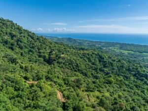 Exceptional Ocean View Farm in Matapalo Near Playa Linda (14)