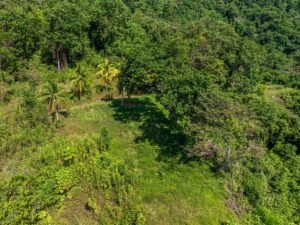 Exceptional Ocean View Farm in Matapalo Near Playa Linda (15)