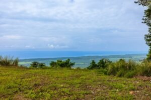 Exceptional Ocean View Farm in Matapalo Near Playa Linda (19)