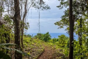 Exceptional Ocean View Farm in Matapalo Near Playa Linda (2)