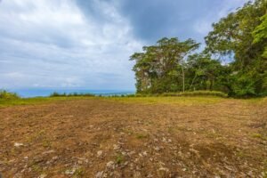 Exceptional Ocean View Farm in Matapalo Near Playa Linda (20)