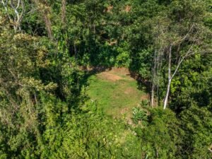 Exceptional Ocean View Farm in Matapalo Near Playa Linda (21)