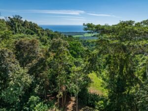 Exceptional Ocean View Farm in Matapalo Near Playa Linda (22)