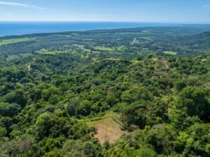 Exceptional Ocean View Farm in Matapalo Near Playa Linda (23)