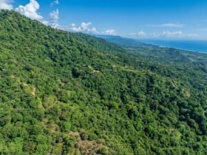 Exceptional Ocean View Farm in Matapalo Near Playa Linda (24)