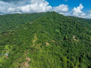 Exceptional Ocean View Farm in Matapalo Near Playa Linda (25)