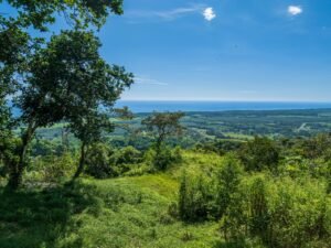 Exceptional Ocean View Farm in Matapalo Near Playa Linda (26)