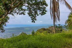 Exceptional Ocean View Farm in Matapalo Near Playa Linda (3)