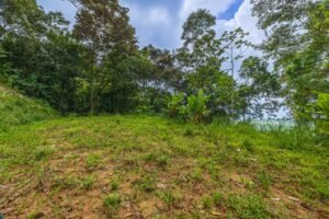 Exceptional Ocean View Farm in Matapalo Near Playa Linda (4)