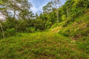Exceptional Ocean View Farm in Matapalo Near Playa Linda (5)