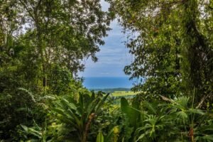 Exceptional Ocean View Farm in Matapalo Near Playa Linda (6)
