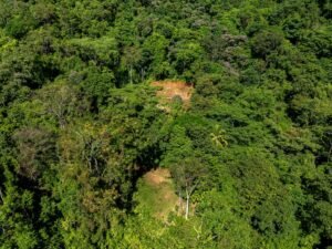 Exceptional Ocean View Farm in Matapalo Near Playa Linda (7)