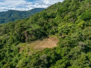 Exceptional Ocean View Farm in Matapalo Near Playa Linda (9)