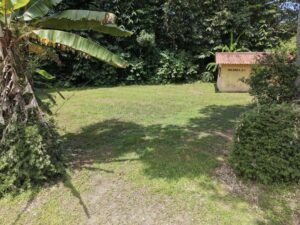 Flat Lot for Sale in Ojochal Commercial & Residential (10)