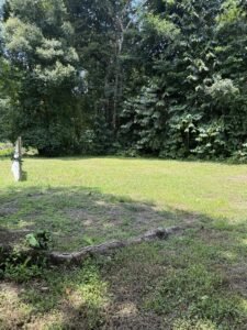 Flat Lot for Sale in Ojochal Commercial & Residential (13)