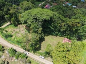 Flat Lot for Sale in Ojochal Commercial & Residential (4)