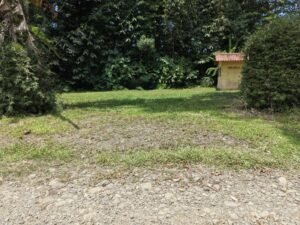 Flat Lot for Sale in Ojochal Commercial & Residential (5)