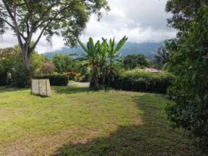 Flat Lot for Sale in Ojochal Commercial & Residential (7)