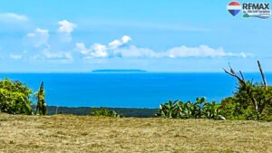 Investment land for sale in Costa Rica 1 (1)