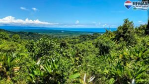 Investment land for sale in Costa Rica 1 (26)
