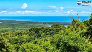 Investment land for sale in Costa Rica 1 (27)