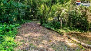Investment land for sale in Costa Rica 1 (34)