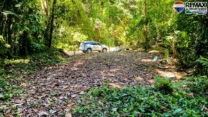 Investment land for sale in Costa Rica 1 (35)