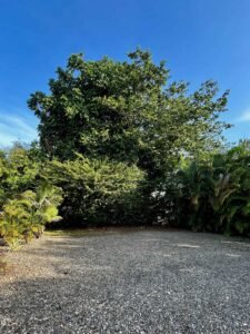 Modern Container Home for Sale in Uvita Costa Rica with Expansion Potential – 197071 (17)